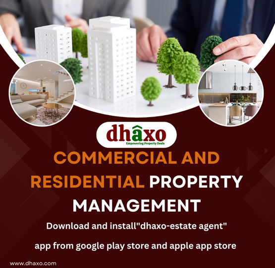 dhaxo limited